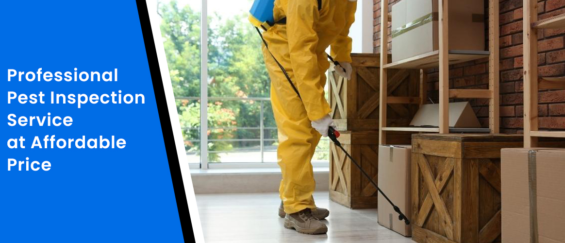 Pest Inspection Service in Teneriffe