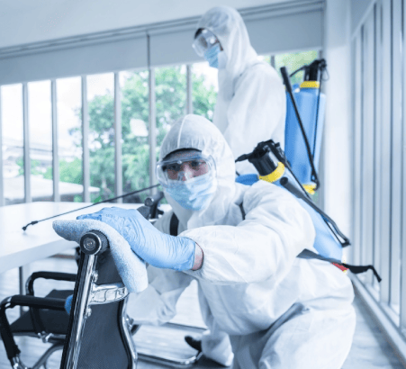 Choosing the Right Pest Control Service