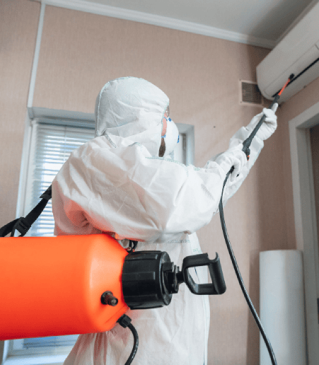 End of Lease Pest Treatment in Geelong