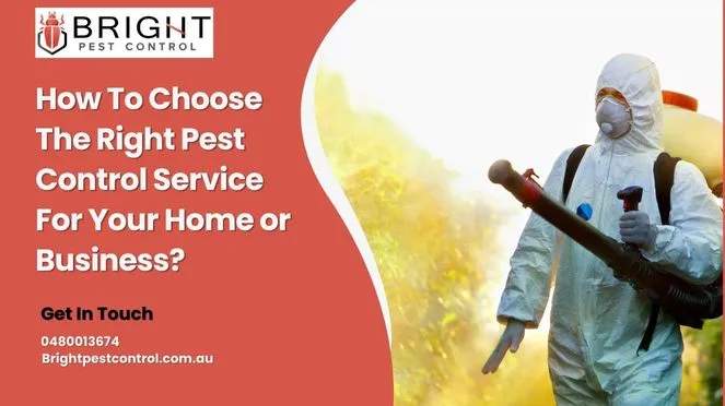 How to Choose the Right Pest Control Service for Your Home or Business