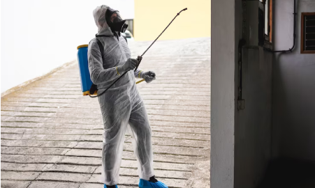 Quick, Safe and Efficient Pest Control in Geelong