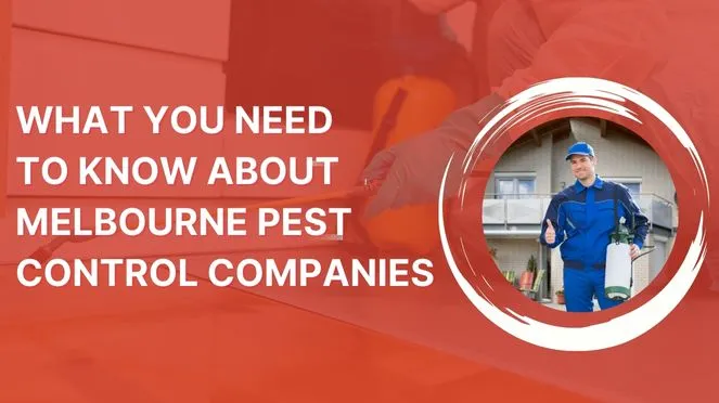 What You Need To Know About Melbourne Pest Control Companies