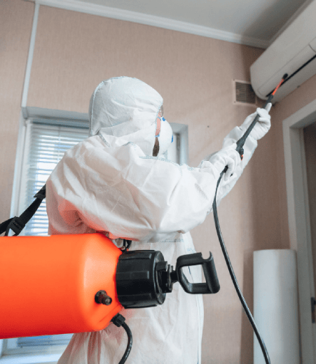 Why Choose Bright Pest Control Service in Ringwood