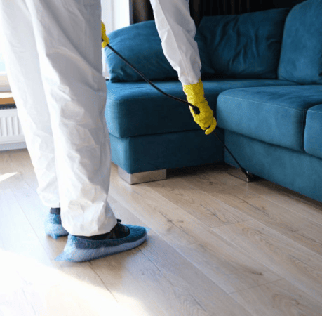 Why Choose Bright Pest Control Clyde North?