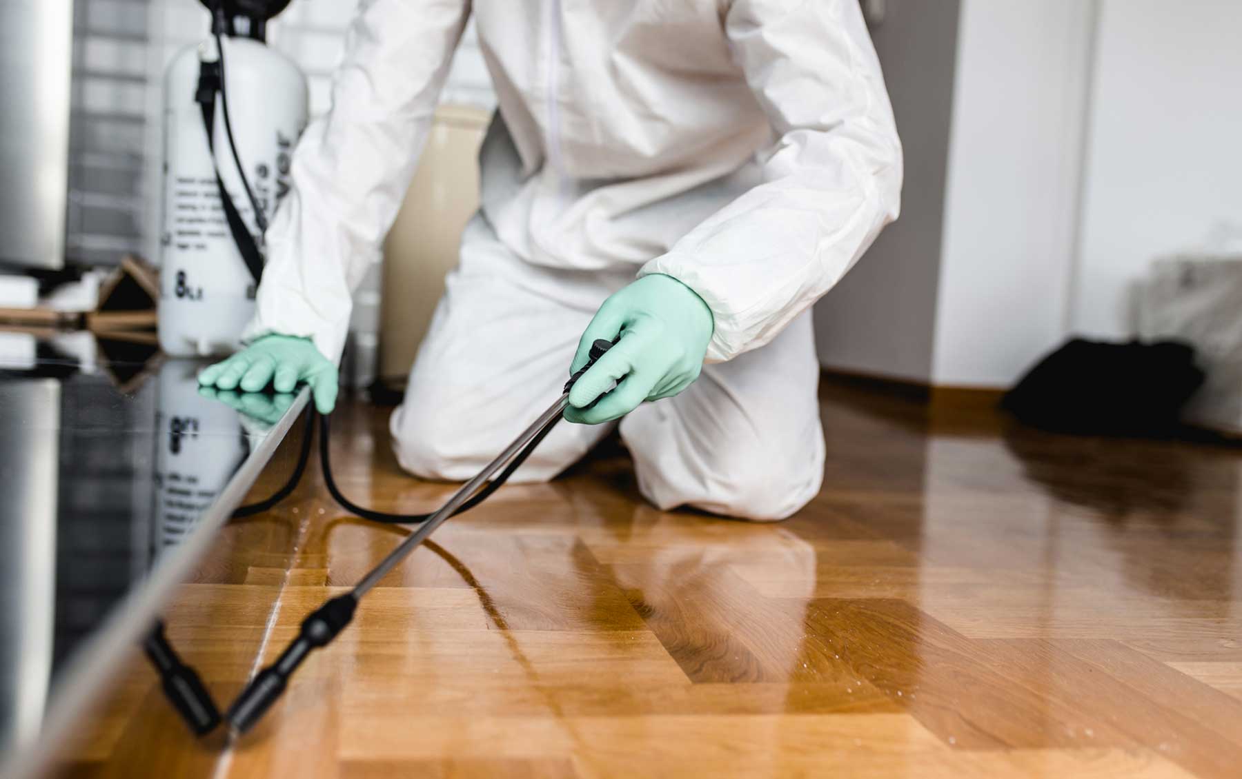 How Can We Make Your Hallam Property Pest-Free?