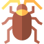 Cockroaches Control Belconnen